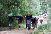 &copy Rudolf P du Toit