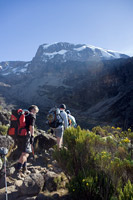 &copy Rudolf P du Toit