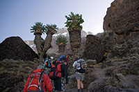 &copy Rudolf P du Toit