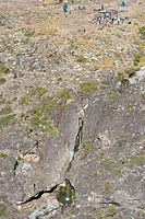 &copy Rudolf P du Toit