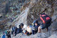 &copy Rudolf P du Toit