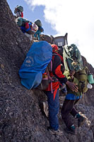 &copy Rudolf P du Toit