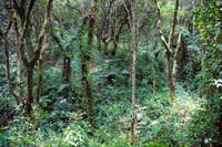 &copy Rudolf P du Toit