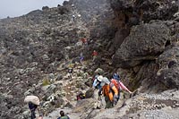 &copy Rudolf P du Toit