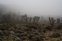 &copy Rudolf P du Toit