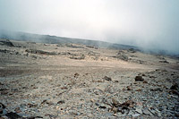 &copy Rudolf P du Toit