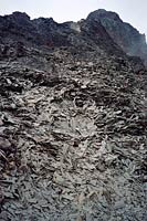 &copy Rudolf P du Toit