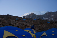 &copy Rudolf P du Toit