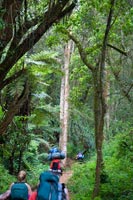 &copy Rudolf P du Toit