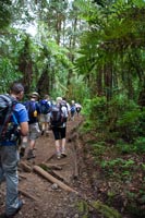 &copy Rudolf P du Toit