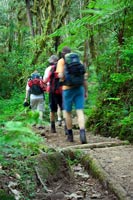 &copy Rudolf P du Toit