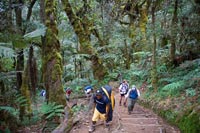 &copy Rudolf P du Toit