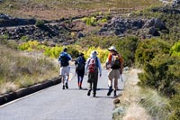 &copy Rudolf P du Toit