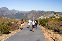 &copy Rudolf P du Toit