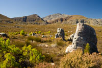 &copy Rudolf P du Toit