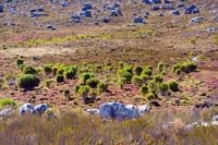 &copy Rudolf P du Toit