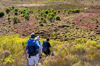 &copy Rudolf P du Toit