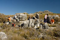 &copy Rudolf P du Toit