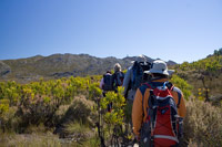 &copy Rudolf P du Toit