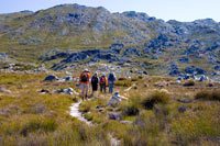 &copy Rudolf P du Toit