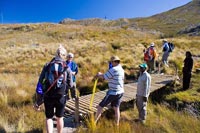 &copy Rudolf P du Toit