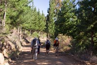 &copy Rudolf P du Toit