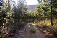 &copy Rudolf P du Toit