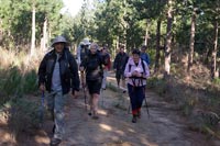 &copy Rudolf P du Toit