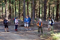 &copy Rudolf P du Toit