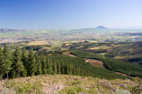 &copy Rudolf P du Toit