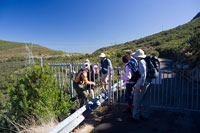 &copy Rudolf P du Toit