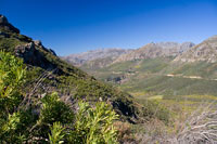 &copy Rudolf P du Toit