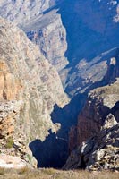 &copy Rudolf P du Toit