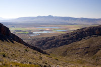 &copy Rudolf P du Toit