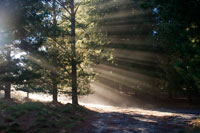 &copy Rudolf P du Toit