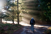 &copy Rudolf P du Toit