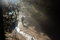 &copy Rudolf P du Toit