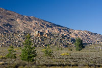 &copy Rudolf P du Toit