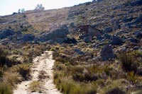 &copy Rudolf P du Toit