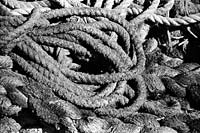 &copy Rudolf P du Toit