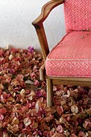 &copy Rudolf P du Toit