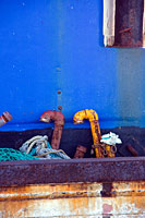 &copy Rudolf P du Toit