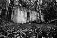 &copy Rudolf P du Toit