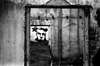 &copy Rudolf P du Toit