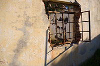 &copy Rudolf P du Toit