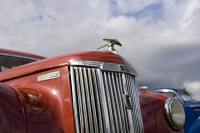 &copy Rudolf P du Toit