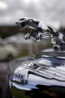 &copy Rudolf P du Toit