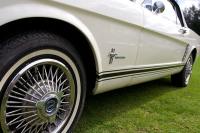 &copy Rudolf P du Toit