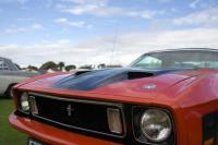 &copy Rudolf P du Toit