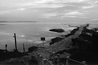 &copy Rudolf P du Toit